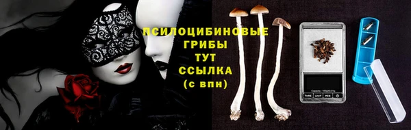 apvp Нефтекумск