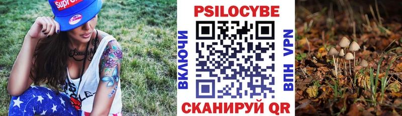 Псилоцибиновые грибы прущие грибы  Купить где  Чапаевск 