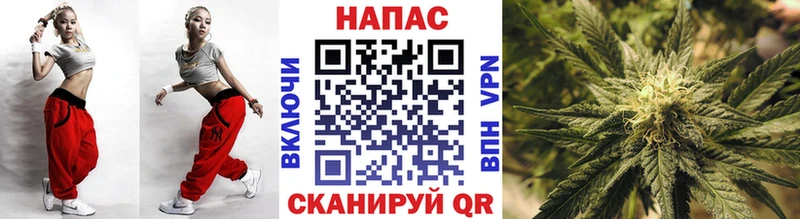 Конопля сатива  Купить закладки  Чапаевск 